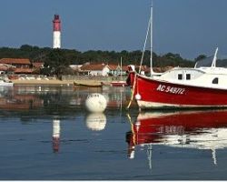 Cap Ferret evening' gourmand