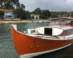 Private  food tour 4h